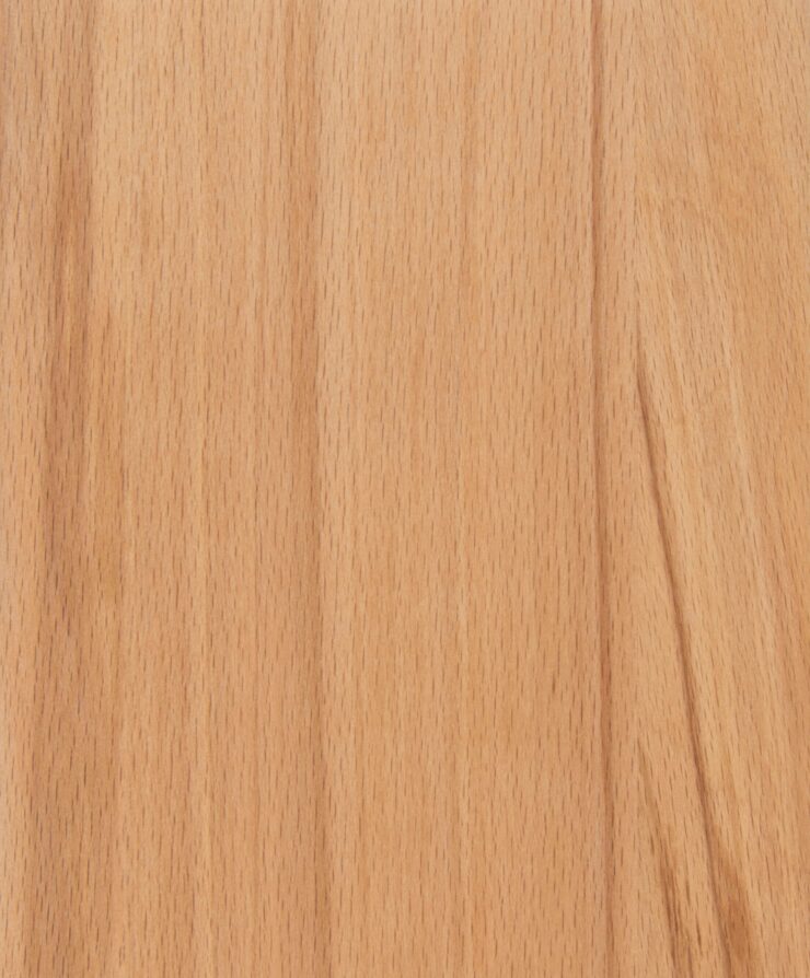 Rustic Beech Full Stave Worktop Sample 200mm x 150mm x 38mm